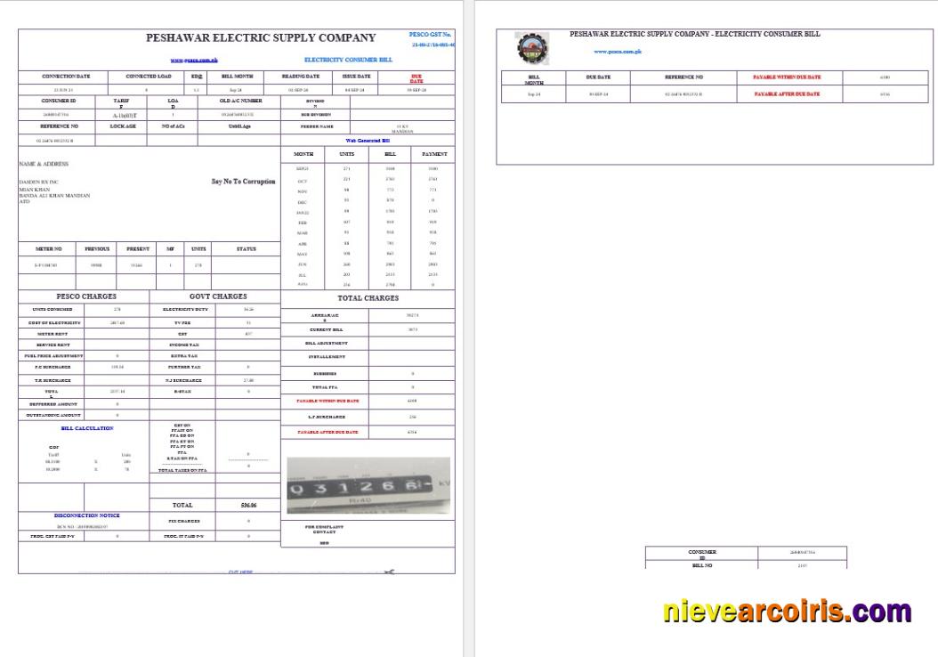 PAKISTAN PESHAWAR ELECTRIC SUPPLY COMPANY business utility bill